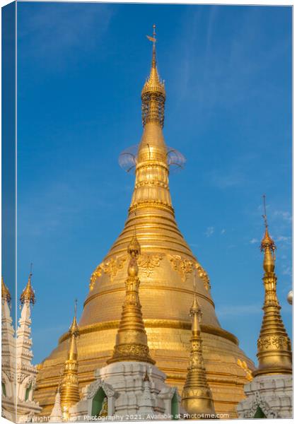 The stupa of the Shwedagon Pagoda in the evening sunlight, in Yangon, Myanmar Canvas Print by SnapT Photography