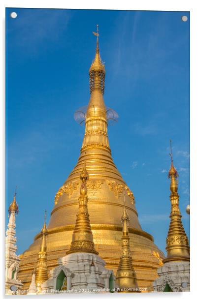 The stupa of the Shwedagon Pagoda in the evening sunlight, in Yangon, Myanmar Acrylic by SnapT Photography