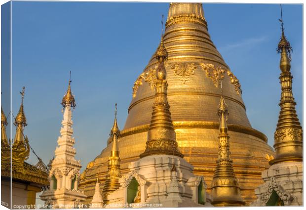 Evening light falling on the golden Shwedagon Pagoda in Yangon, Myanmar Canvas Print by SnapT Photography