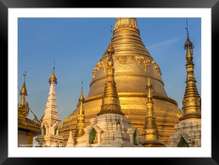 Evening light falling on the golden Shwedagon Pagoda in Yangon, Myanmar Framed Mounted Print by SnapT Photography