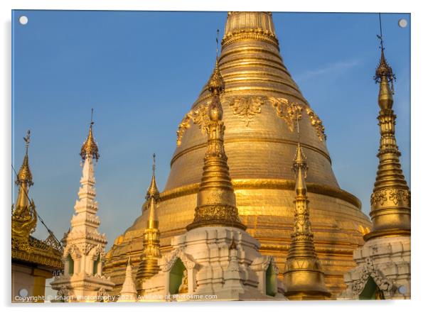 Evening light falling on the golden Shwedagon Pagoda in Yangon, Myanmar Acrylic by SnapT Photography