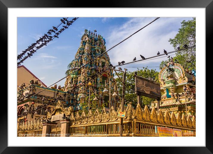 The Shri Kali Temple in central Yangon, Myanmar, surrounded by a flock of birds Framed Mounted Print by SnapT Photography