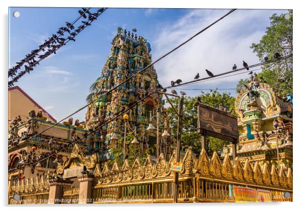 The Shri Kali Temple in central Yangon, Myanmar, surrounded by a flock of birds Acrylic by SnapT Photography
