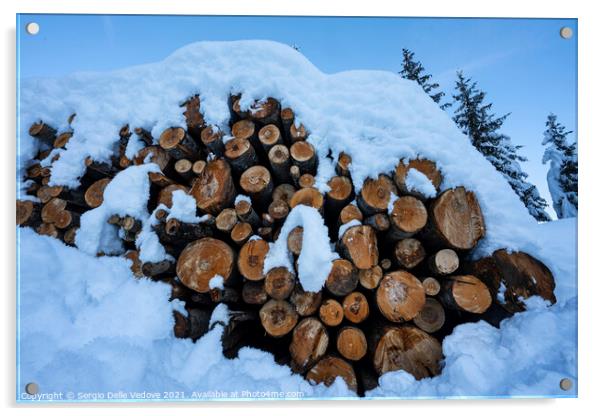 wooden logs Acrylic by Sergio Delle Vedove