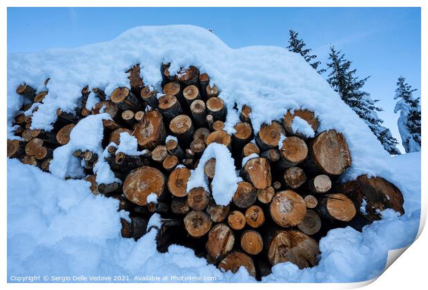 wooden logs Print by Sergio Delle Vedove