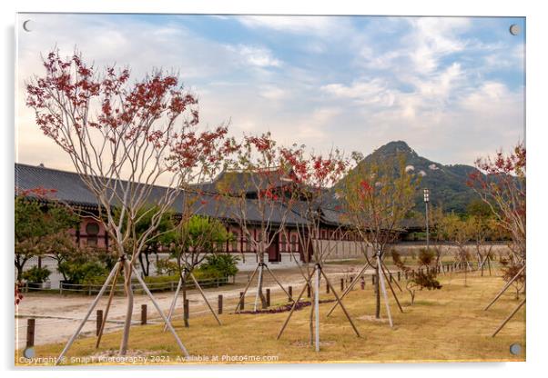 Trees in autumn colours in the grounds of Gyeongbokgung Palace Acrylic by SnapT Photography