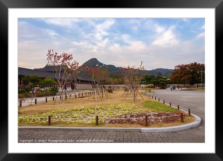 A park in the grounds of Gyeongbokgung Palace and Inwangsan Mountain Framed Mounted Print by SnapT Photography