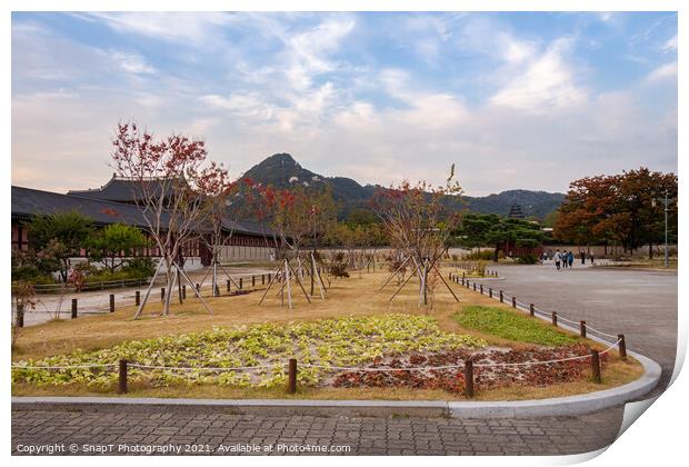 A park in the grounds of Gyeongbokgung Palace and Inwangsan Mountain Print by SnapT Photography