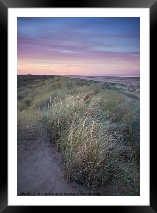 Light on the Dunes, Lincolnshire  Framed Mounted Print by Tony Gaskins