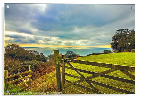 View from Strete in Devon Acrylic by Ian Stone