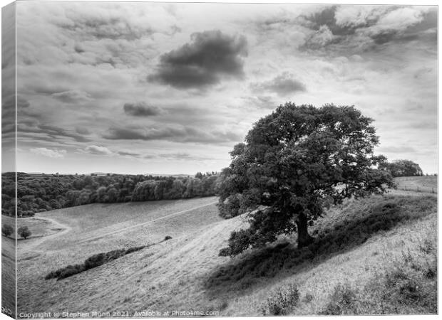 Somerset Valley Tree in black and white Canvas Print by Stephen Munn
