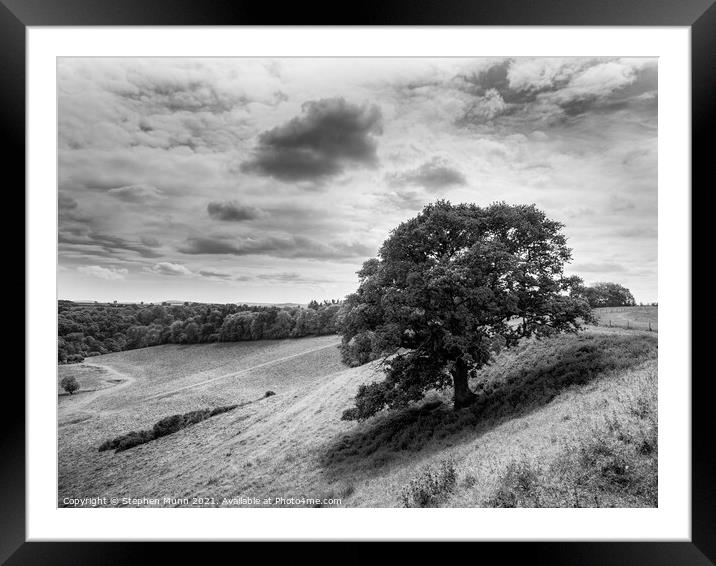Somerset Valley Tree in black and white Framed Mounted Print by Stephen Munn