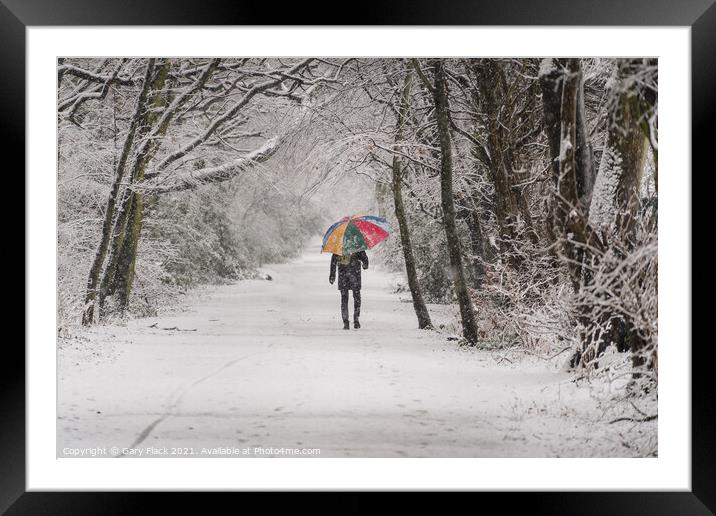 Colour Brolly in the snowy woods Framed Mounted Print by That Foto
