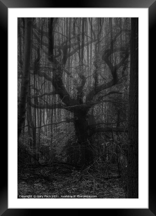 A double exposure old spooky tree in the mist Framed Mounted Print by That Foto