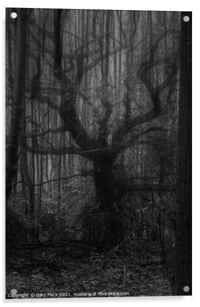A double exposure old spooky tree in the mist Acrylic by That Foto