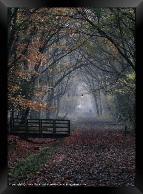 Autumn woods walk,misty Framed Print by That Foto