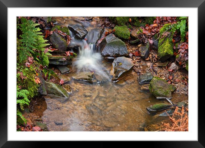 A splash in the stream Framed Mounted Print by David McCulloch