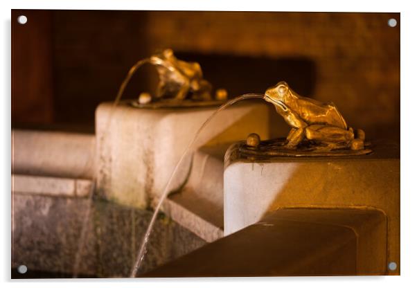 Frog Fountain Acrylic by Artur Bogacki