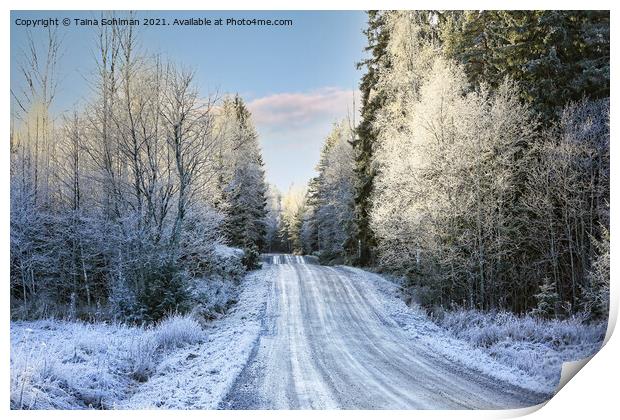 Country Road in Middle of Winter Print by Taina Sohlman