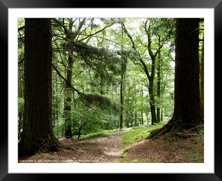 Woodland Path Framed Mounted Print by Nik Taylor