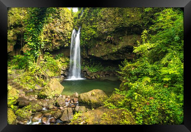 Wasserfall, Dominica, Caribbean  Framed Print by peter schickert