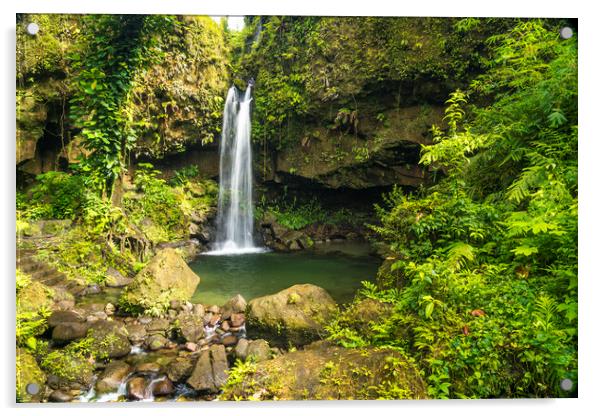 Wasserfall, Dominica, Caribbean  Acrylic by peter schickert