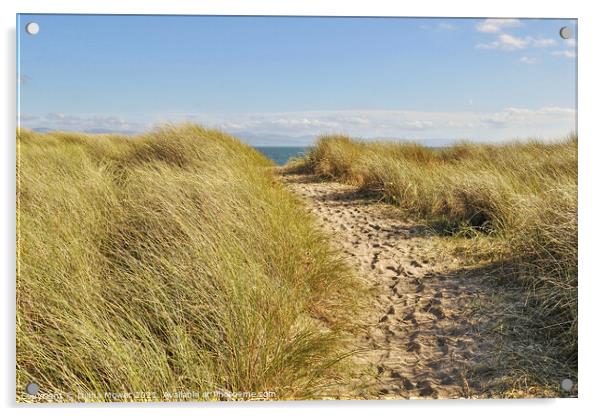 Path to Tywyn Beach Acrylic by Diana Mower