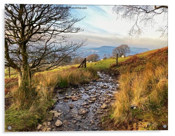 Welsh Countryside Walk Acrylic by Angharad Morgan