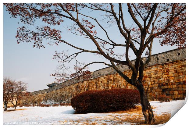 Hwaseong Fortress at winter Print by Sanga Park