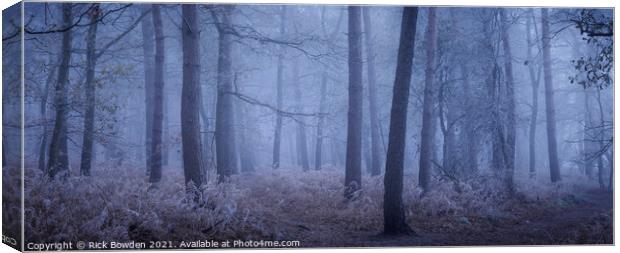 Enchanting Winter Wonderland Canvas Print by Rick Bowden