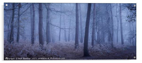Enchanting Winter Wonderland Acrylic by Rick Bowden