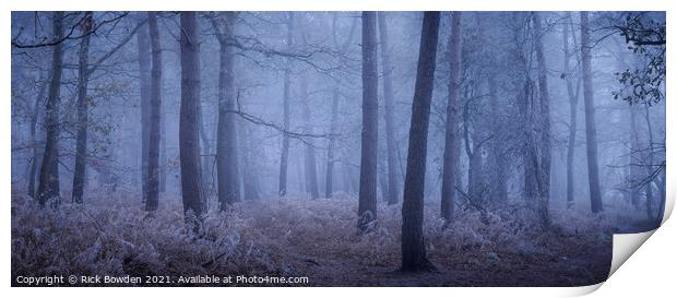 Enchanting Winter Wonderland Print by Rick Bowden
