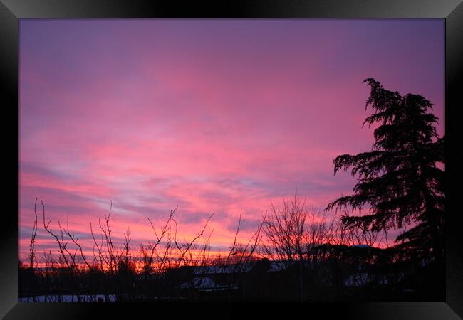 Pretty Pink Winter Sunrise Framed Print by Jeremy Hayden