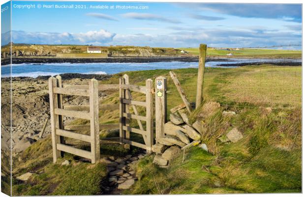 Anglesey Coast Path at Porth Cwyfan Canvas Print by Pearl Bucknall