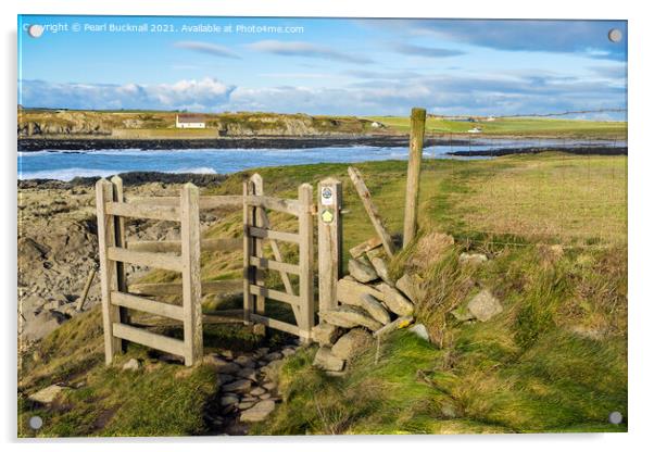 Anglesey Coast Path at Porth Cwyfan Acrylic by Pearl Bucknall
