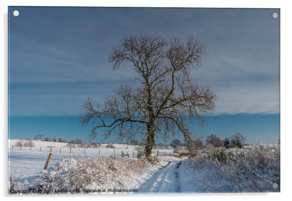 Park Lane, Hutton Magna, Teesdale in Snow Acrylic by Richard Laidler