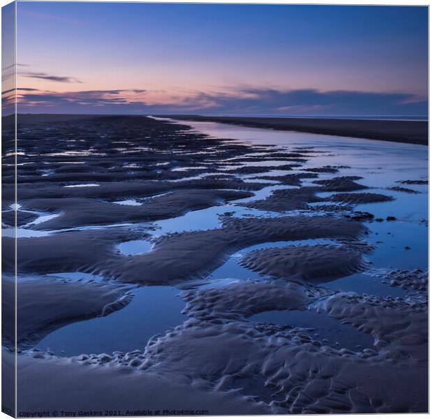 Rising Tide Canvas Print by Tony Gaskins