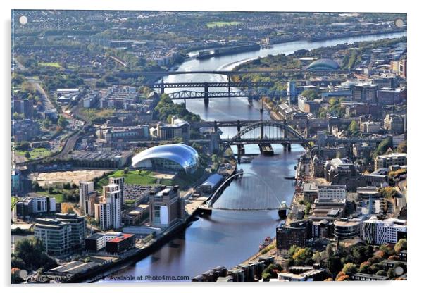 Seven Tyne Bridges Acrylic by mick vardy