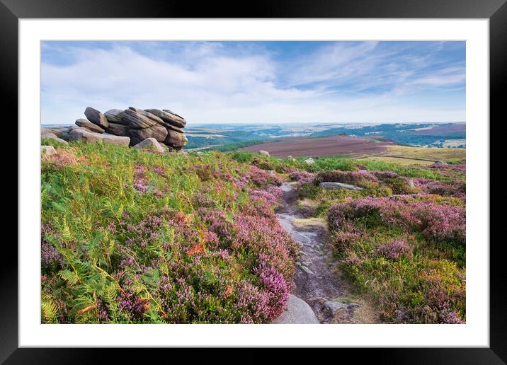 Higger Tor in the Derbyshire Peak district, UK. Summer moorland with heather Framed Mounted Print by Jeanette Teare