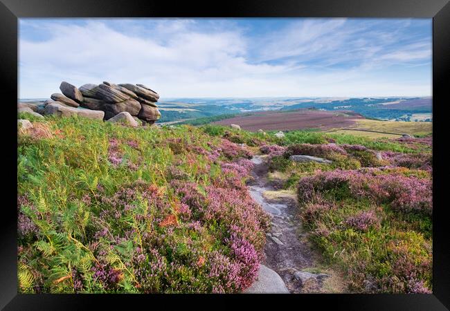 Higger Tor in the Derbyshire Peak district, UK. Summer moorland with heather Framed Print by Jeanette Teare