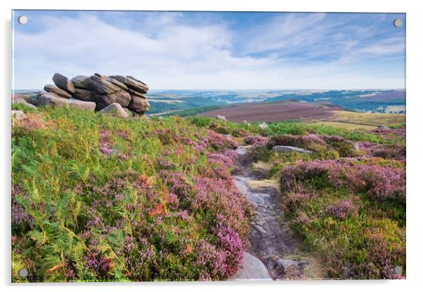 Higger Tor in the Derbyshire Peak district, UK. Summer moorland with heather Acrylic by Jeanette Teare
