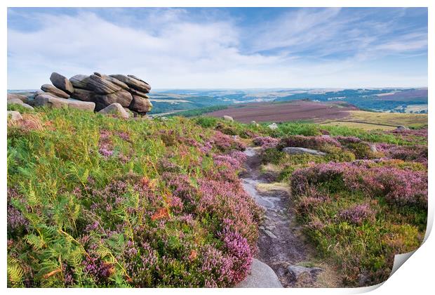 Higger Tor in the Derbyshire Peak district, UK. Summer moorland with heather Print by Jeanette Teare