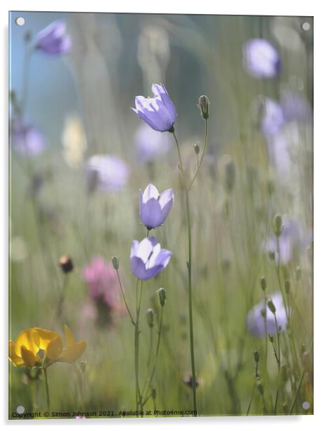 Harebell flower Acrylic by Simon Johnson