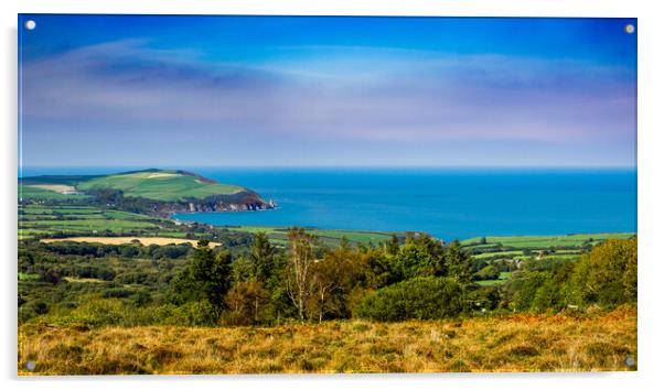 Dinas Head, Pembrokeshire, Wales, UK Acrylic by Mark Llewellyn