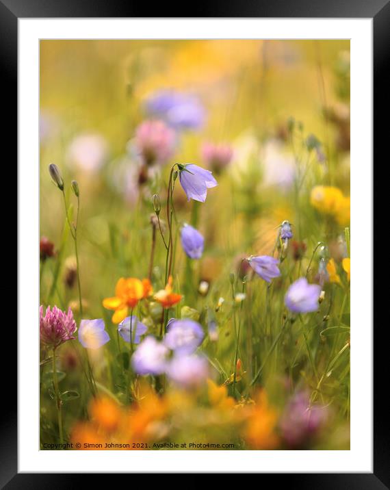 meadow flowers Framed Mounted Print by Simon Johnson