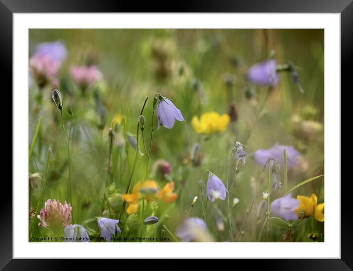 Meadow flowers Framed Mounted Print by Simon Johnson