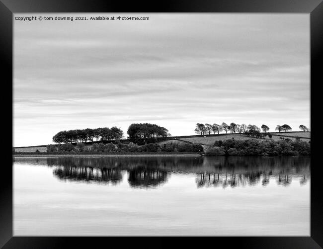 Distant Reflection in black&white Framed Print by tom downing