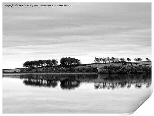 Distant Reflection in black&white Print by tom downing