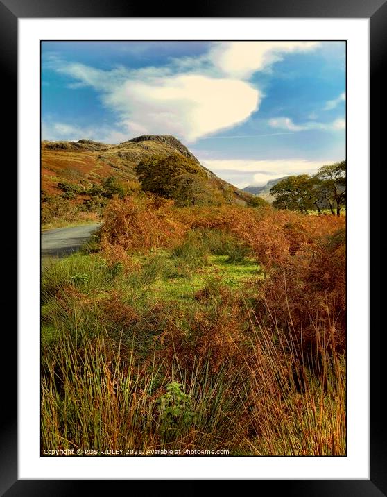 Autumn road through  Wasdale Valley Framed Mounted Print by ROS RIDLEY