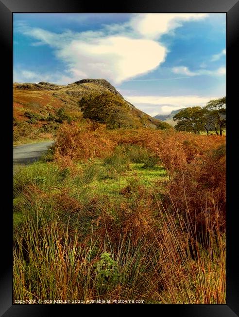 Autumn road through  Wasdale Valley Framed Print by ROS RIDLEY